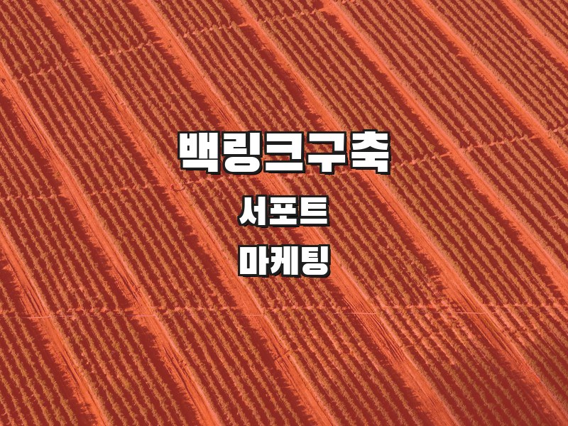 백링크구축 주식회사 서포트 | SEO 마케팅 전문기업 - 고품질 백링크 구축 웹트래픽 증가